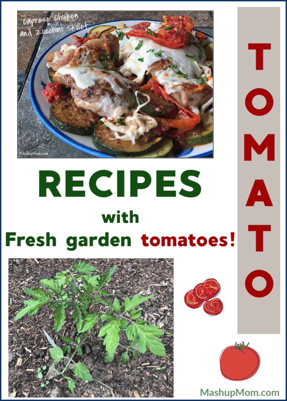 10 Easy Recipes With Fresh Tomatoes (how does your garden grow?)